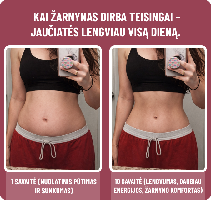 90 DIENŲ METABOLIZMO IR ŽARNYNO BALANSO SISTEMA