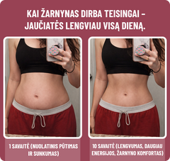 90 DIENŲ METABOLIZMO IR ŽARNYNO BALANSO SISTEMA